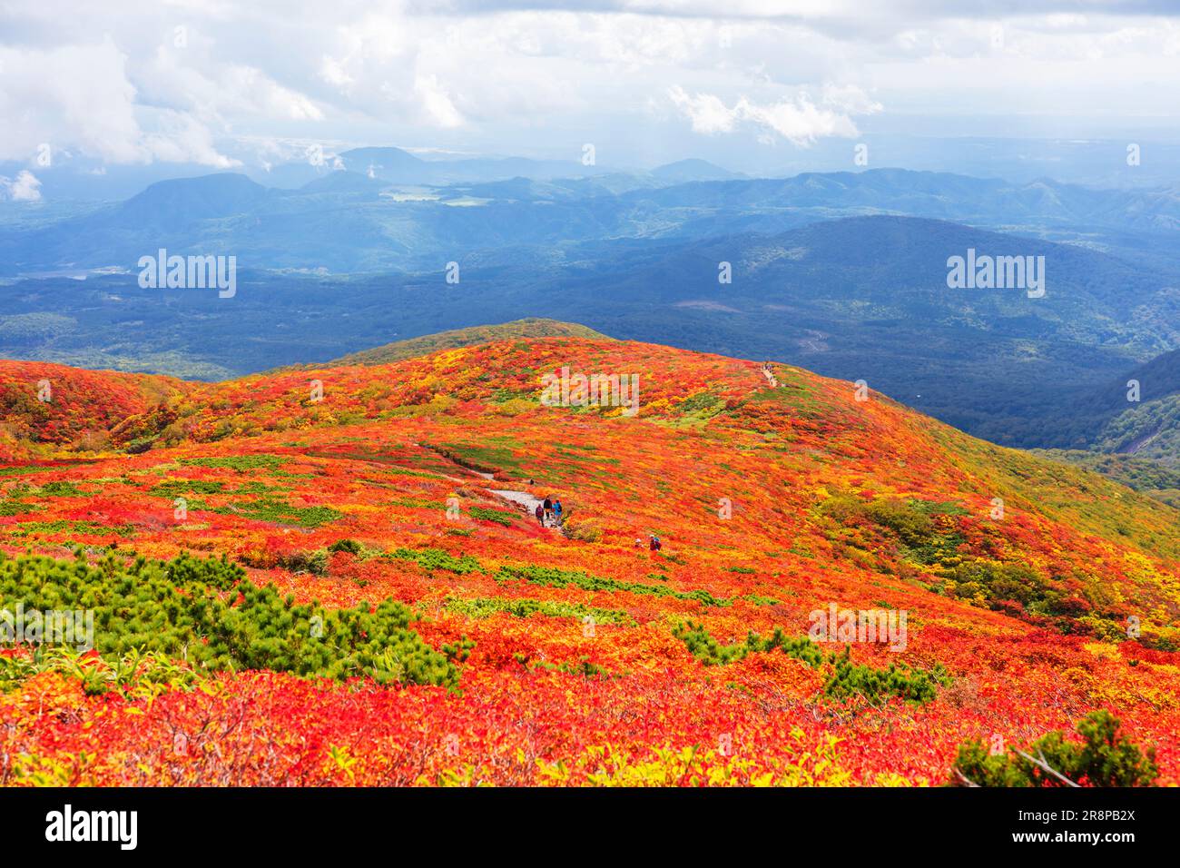Autumn leaves of Mt. Stock Photo