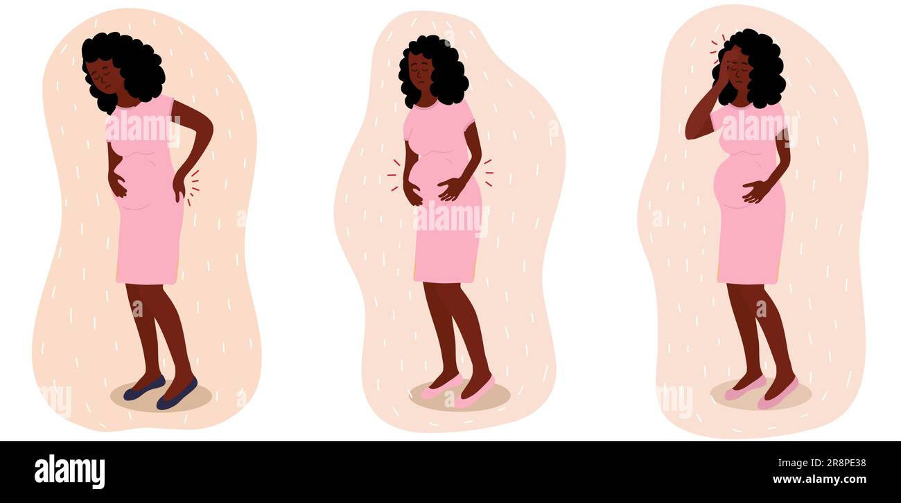 placental-anatomy-stock-vector-images-alamy