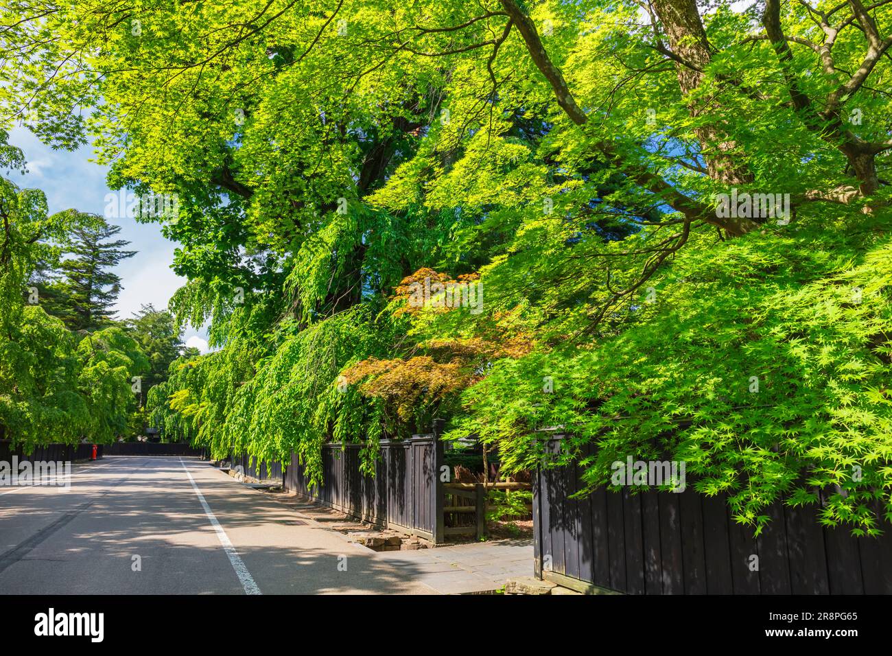 Kakunodate Buke Yashiki Street Stock Photo - Alamy