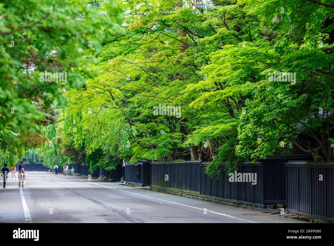 Kakunodate Buke Yashiki Street Stock Photo - Alamy