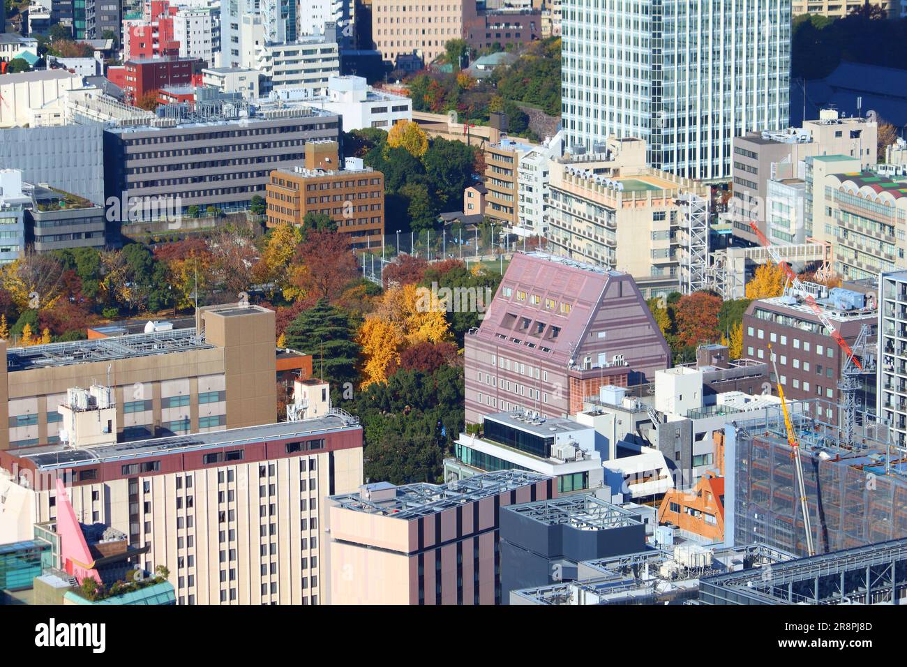 Tokyo city aerial view. Shibakoen district in Minato Ward. Stock Photo