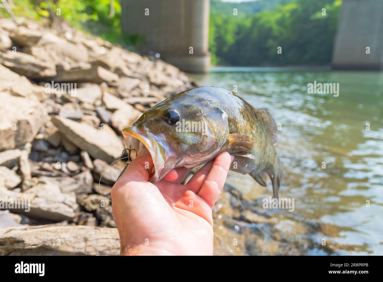 Fishing design hi-res stock photography and images - Page 20 - Alamy