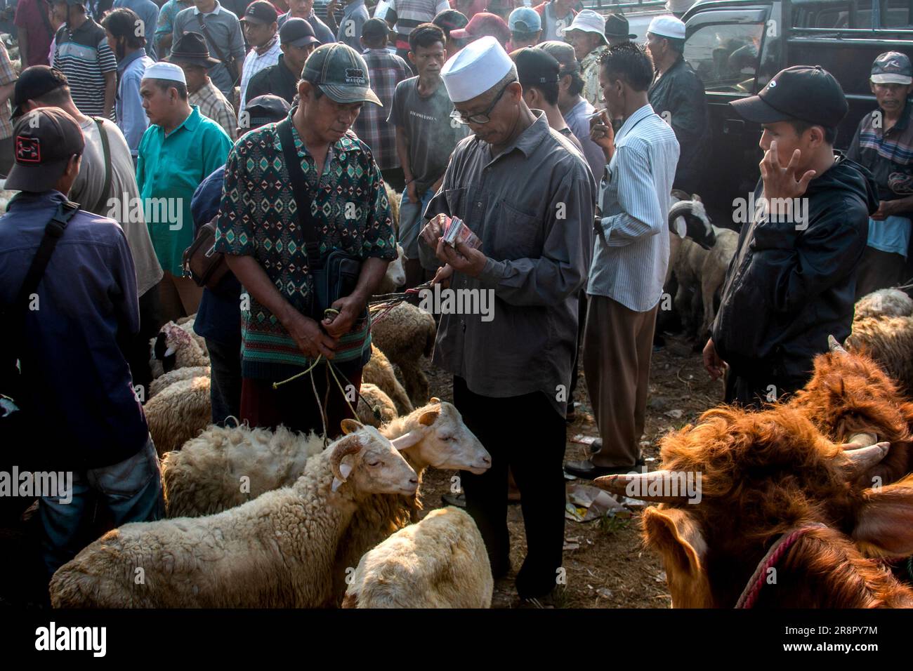 People purchase sacrificial animals at a livestock market ahead of the Muslim festival Eid Al-Adha, in Jonggol, Bogor Regency, West Java, Indonesia on June 22, 2023. Based on livestock traders data over 900 cows, 700 goats, and 600 sheep were sold at the largest livestock market in West Java. Eid al-Adha is one of the holiest Muslims holidays of the year. It marks the yearly Muslim pilgrimage, known as Hajj, to visit Mecca. During Eid al-Adha, Muslims slaughter goats, sheep and cattle in commemoration of the Prophet Abraham's readiness to sacrifice his son to show obedience to God. They split Stock Photo