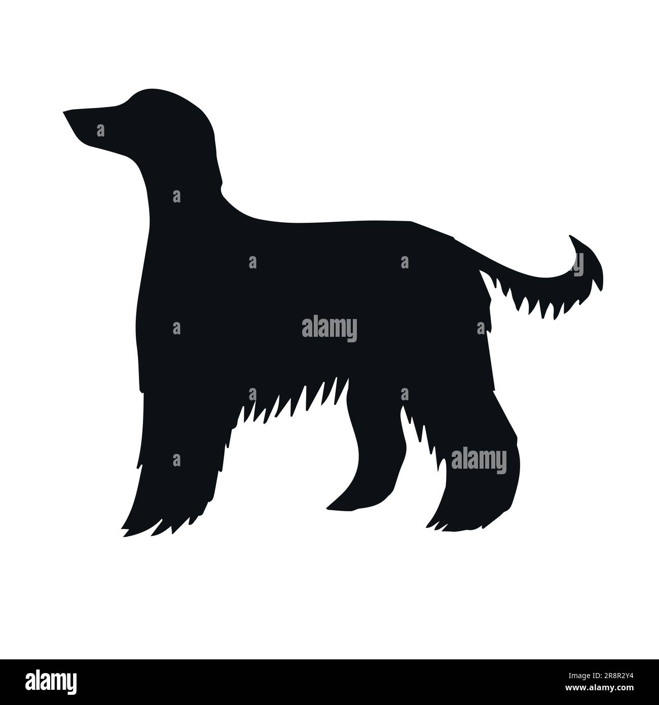 Vector hand drawn Afghan hound dog silhouette isolated on white background Stock Vector