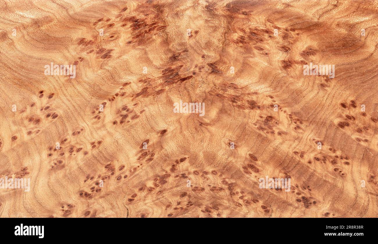 Timber veneer hires stock photography and images Alamy