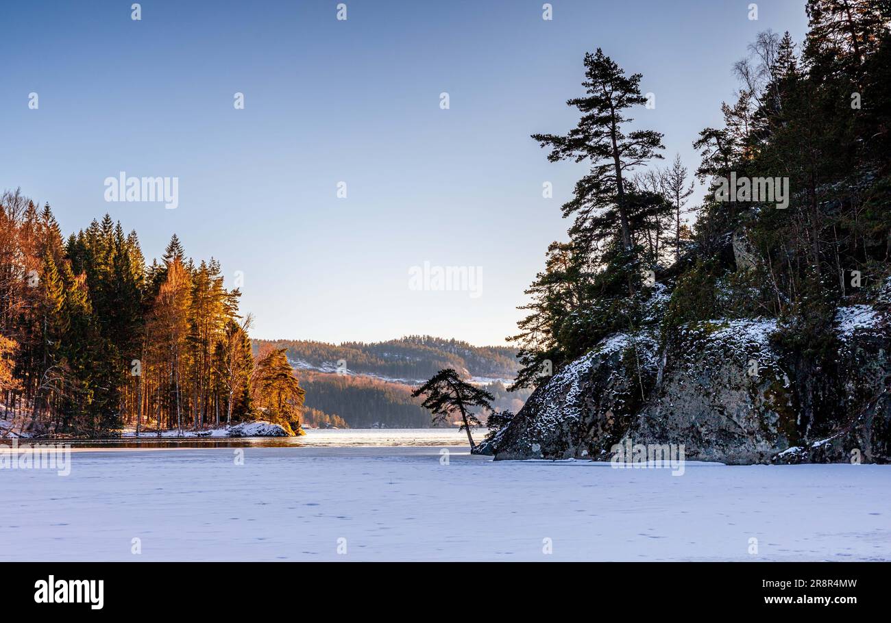 Winter landscape surrounded by trees hi-res stock photography and ...