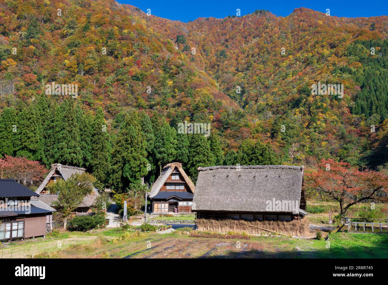 Gokayama in autumn Stock Photo