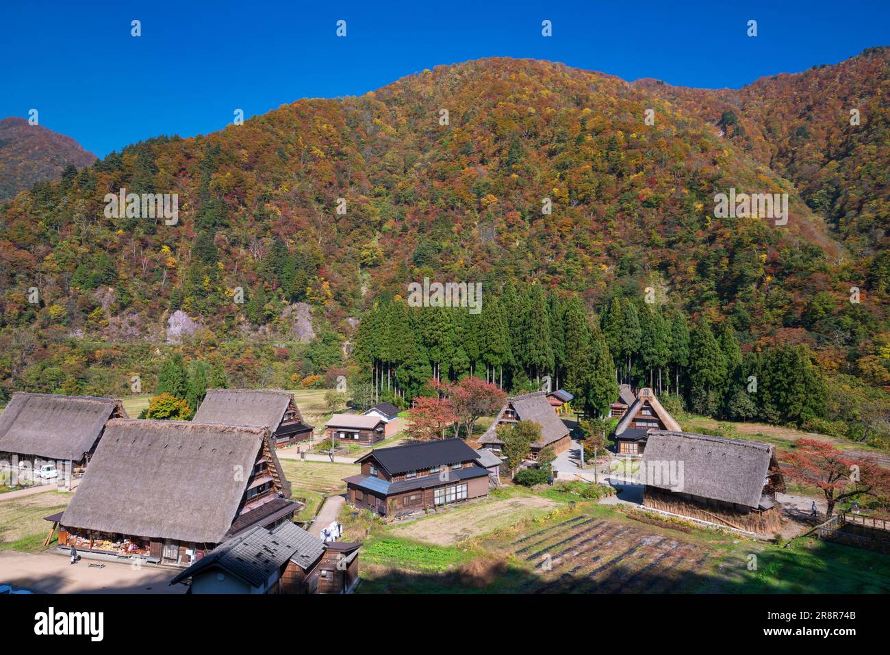Gokayama in autumn Stock Photo