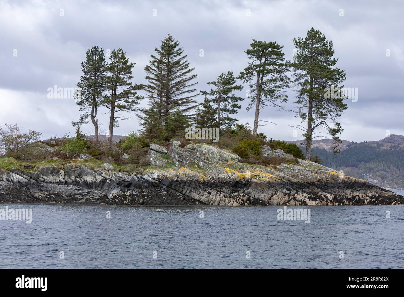 Mature green pine trees growing on a small island rocky outcrop in the middle of Loch Carron Stock Photo