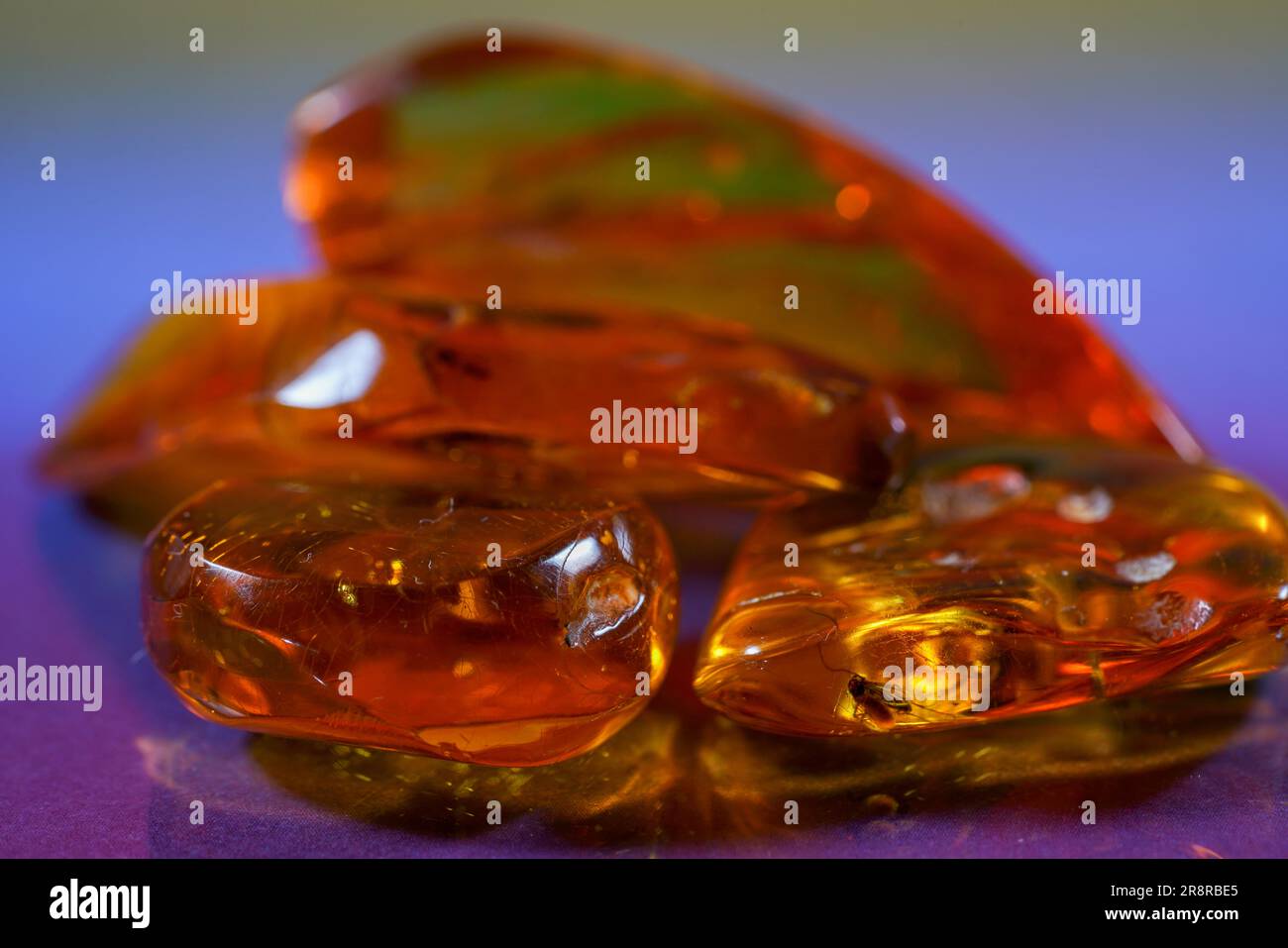 Amber is made of yellow transparent fossil resin with insect inclusions