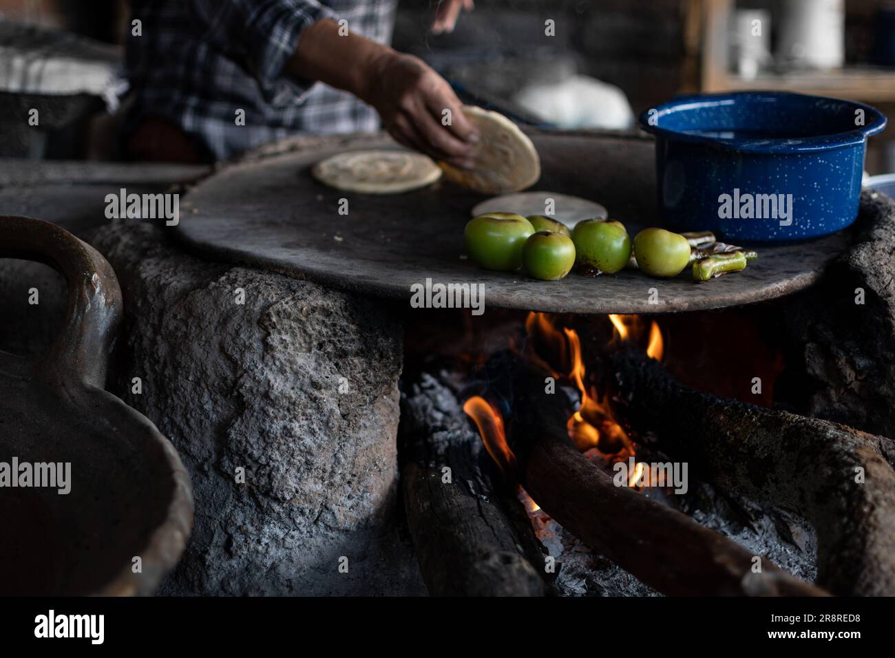 Mexican Rolled Up in Corn Tortillas: A Culinary Exploration of Flavor and Tradition