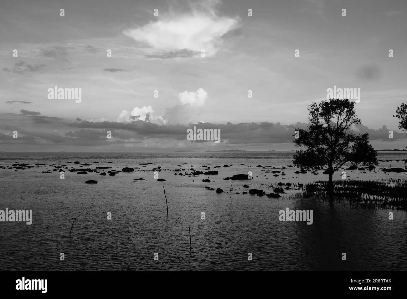 View vast dark sea Black and White Stock Photos & Images - Alamy