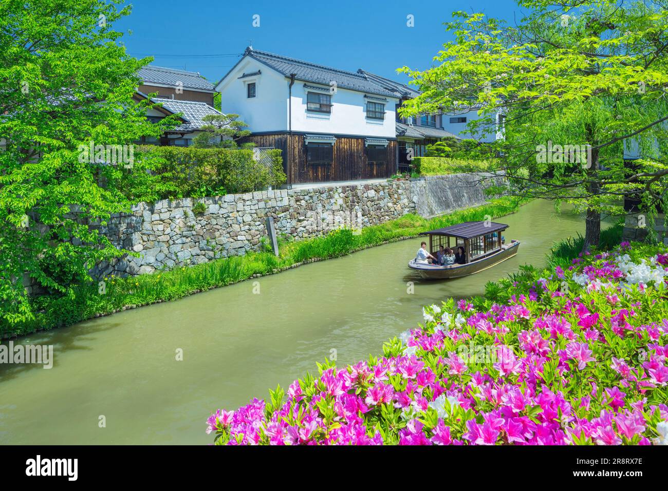 Azalea at Hachimanbori waterway and a pleasure boat Stock Photo