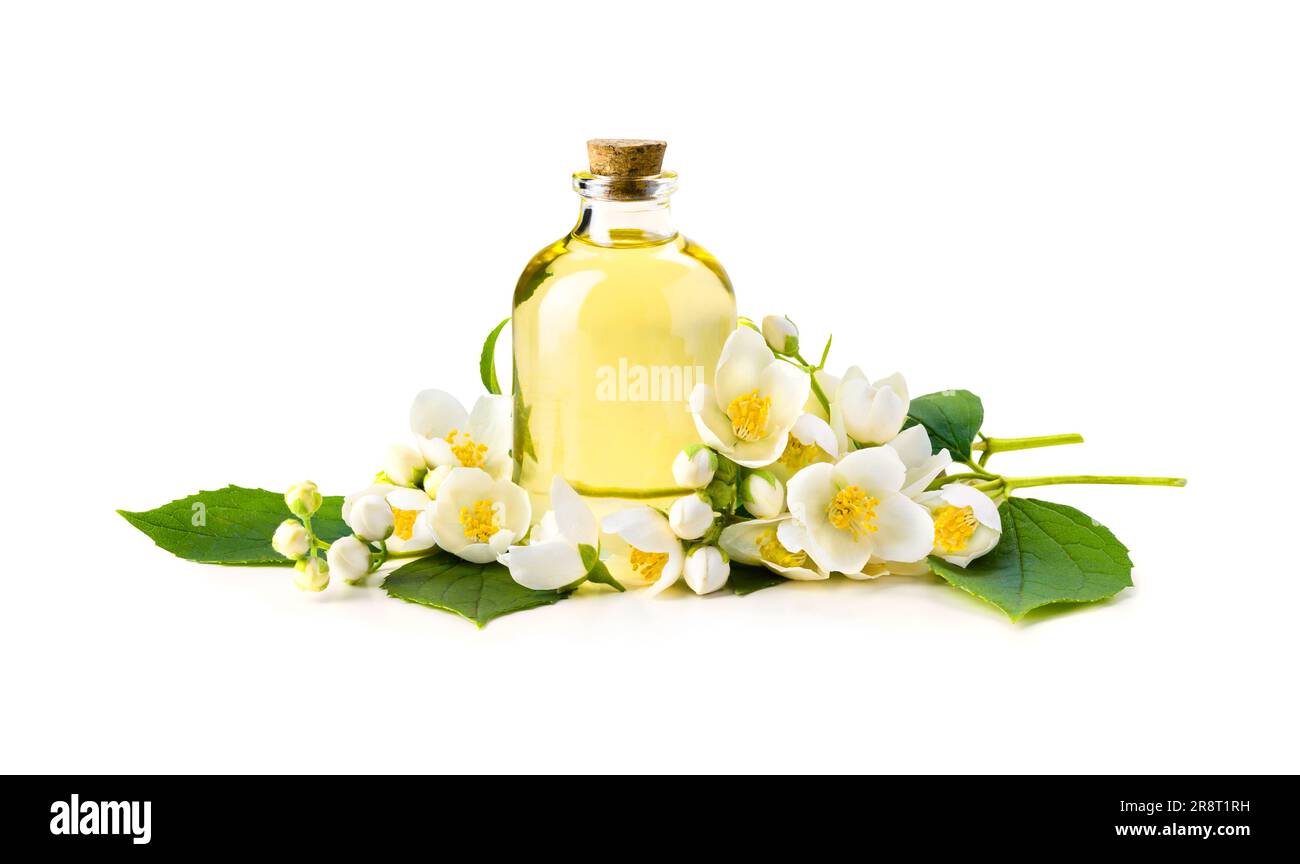 White jasmine flowers with green leaves and transparent glass bottle Stock Photo