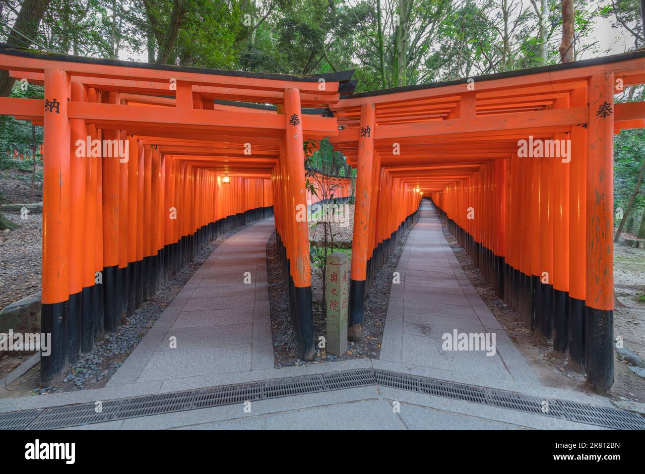Senbon-torii gate of Fushimi Inari-taisha Shrine Stock Photo - Alamy