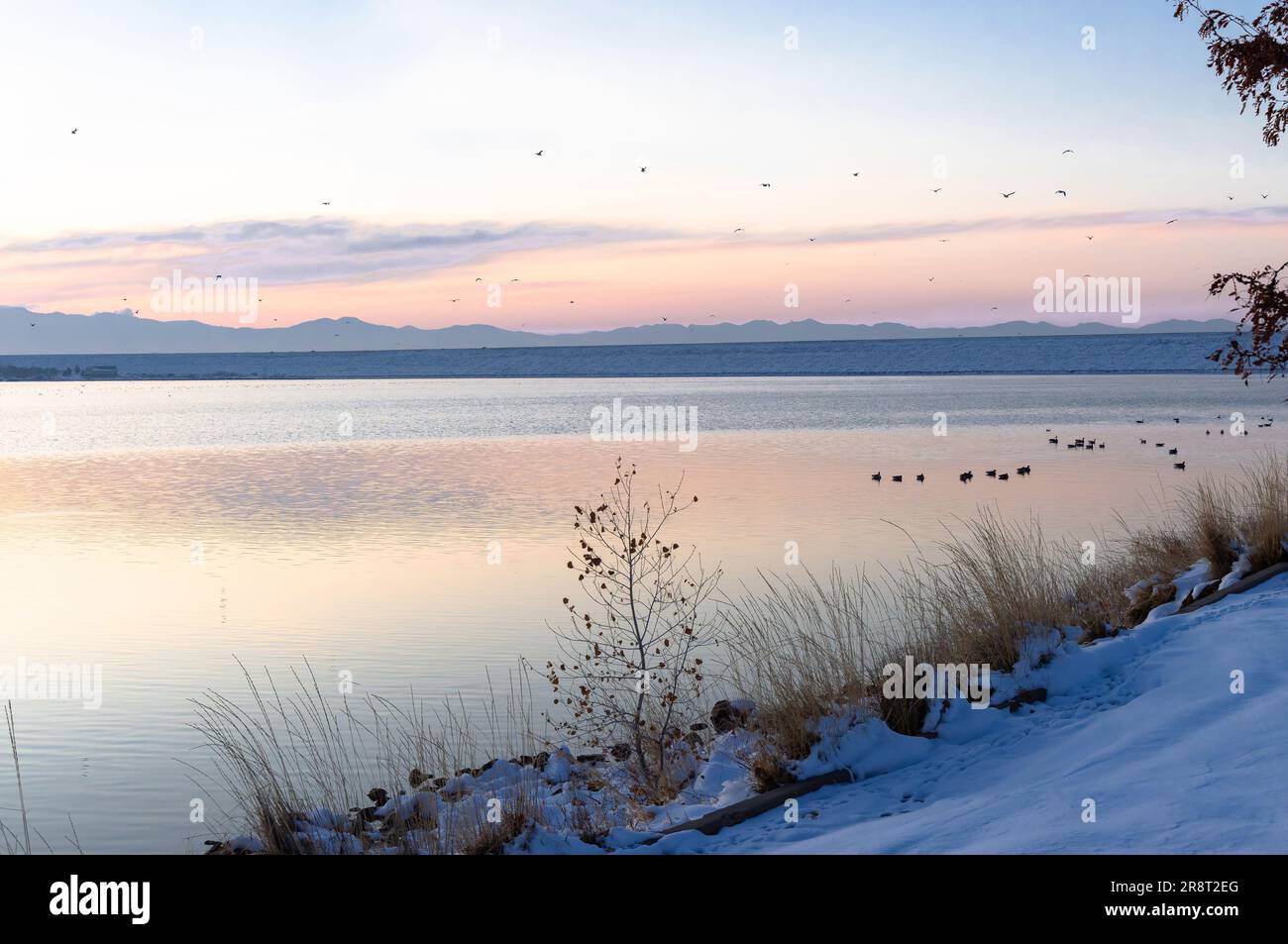 Sunset at Cherry Creek Reservoir, Colorado in Wintertime, with seagulls 