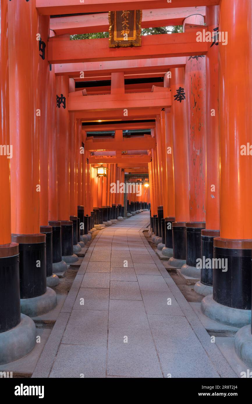Senbon-torii gate of Fushimi Inari-taisha Shrine Stock Photo - Alamy