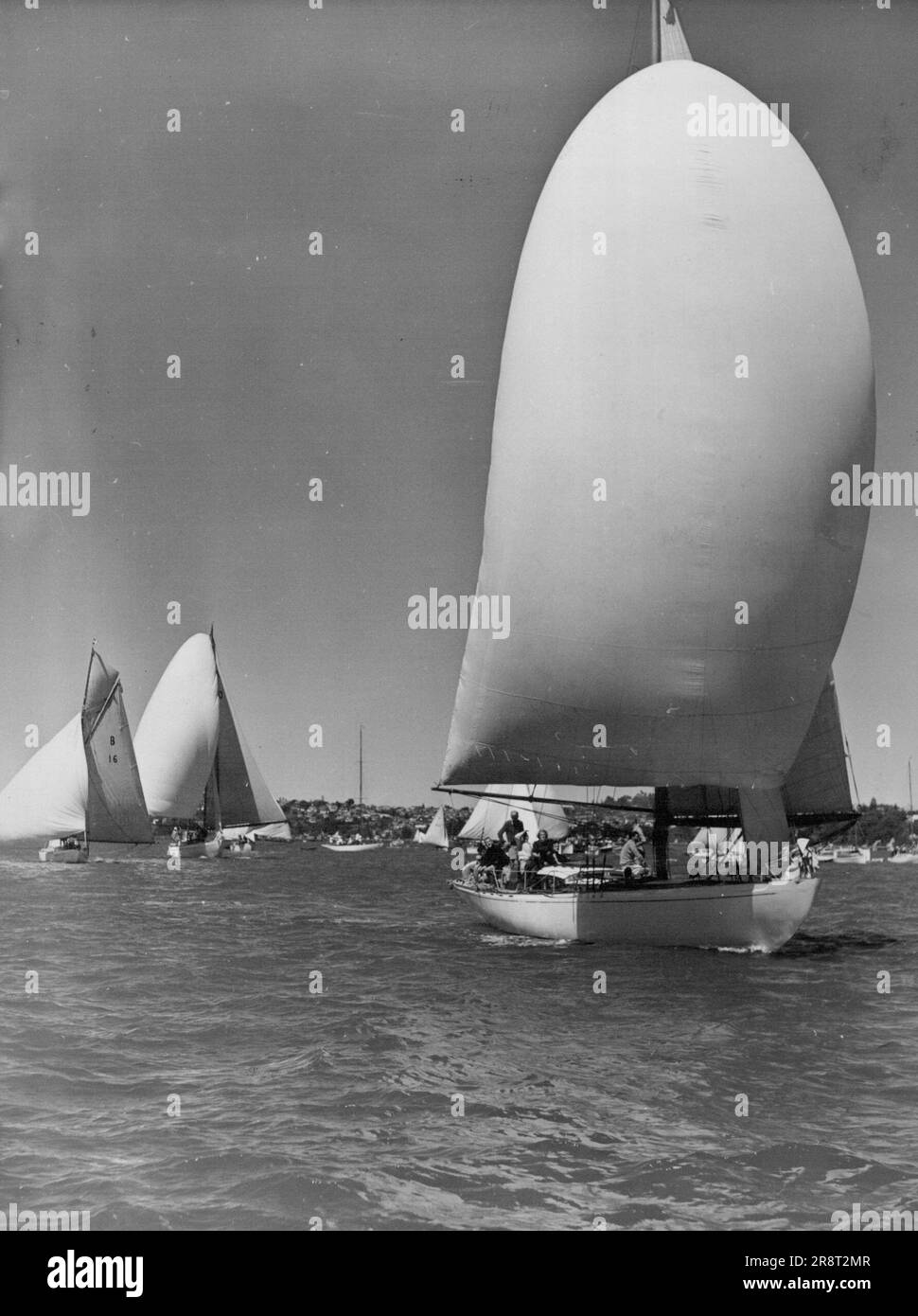 Trans-Tasman Race. Leda, Rangi and Tara just after the start of the trans-Tasman yacht race from Auckland to Sydney. According to late reports the Rangi is leading. January 31, 1951. (Photo by The N.Z. Herald). Stock Photo