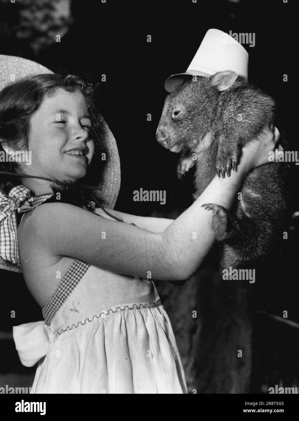 Gail Porter with a wombat at Taronga Zoo on 21/12/1950. January 1, 1950