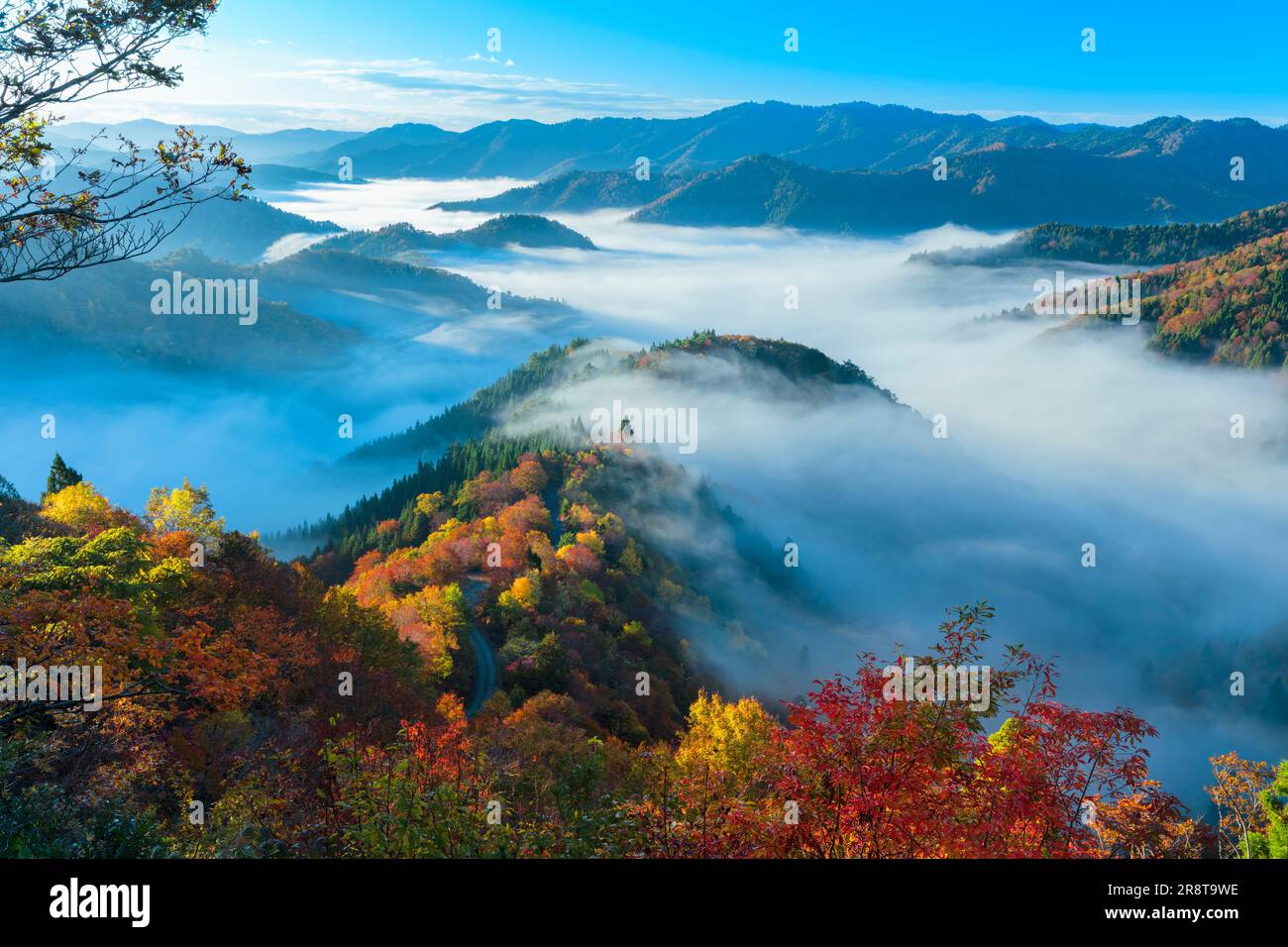 Sea of clouds at Onyu Pass Stock Photo - Alamy