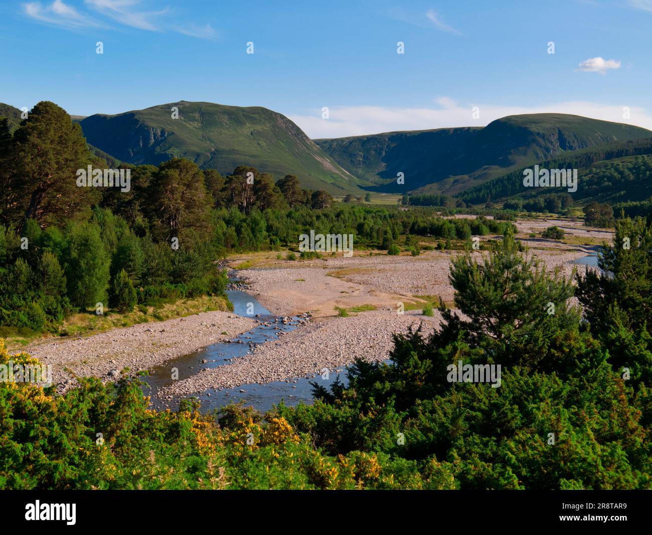 Glen Feshie, Grampian Stock Photo - Alamy
