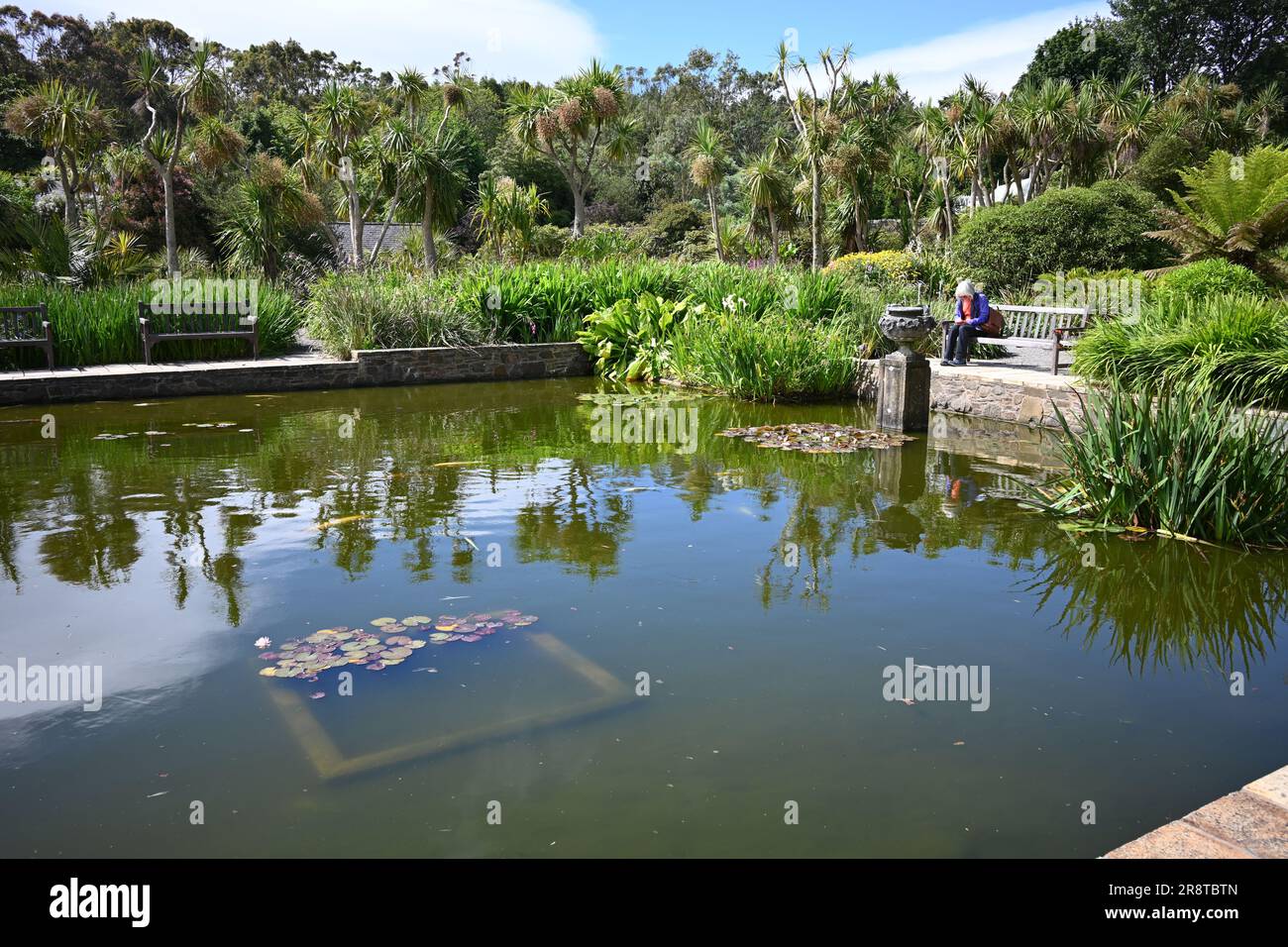 View of Lily Pond in Logan Botanical Gardens Port Logan on the Rhinns of Galloway, at the south-western tip of Scotland Stock Photo