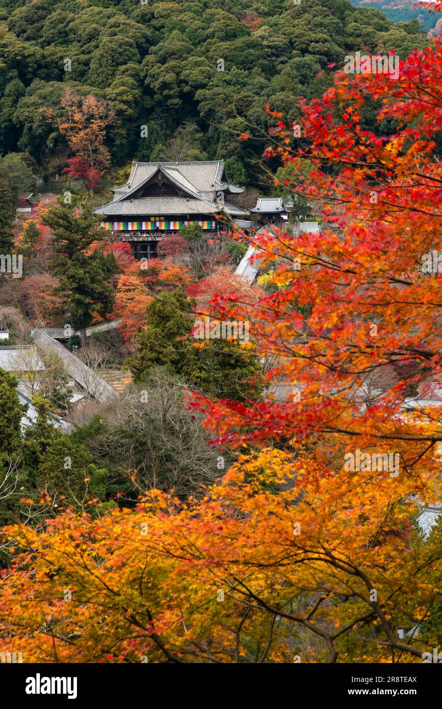 Hase Temple in Autumn Stock Photo