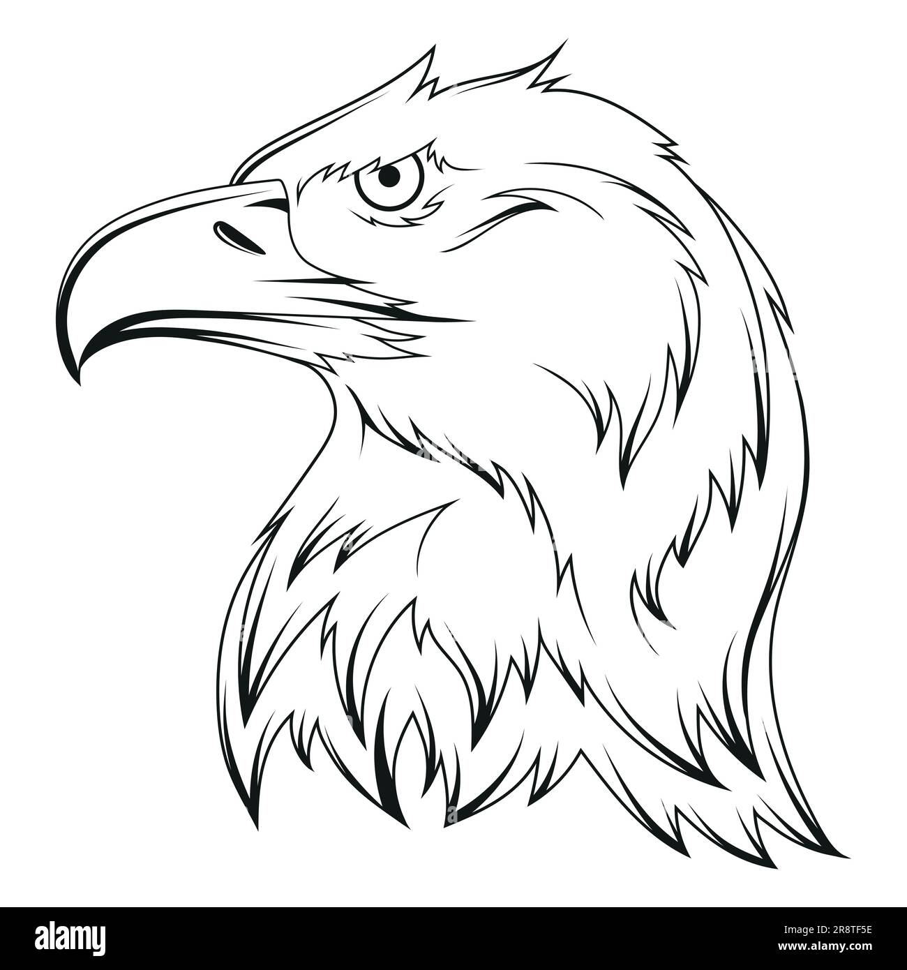 Eagle. Vector illustration of a sketch soaring bald eagle. National