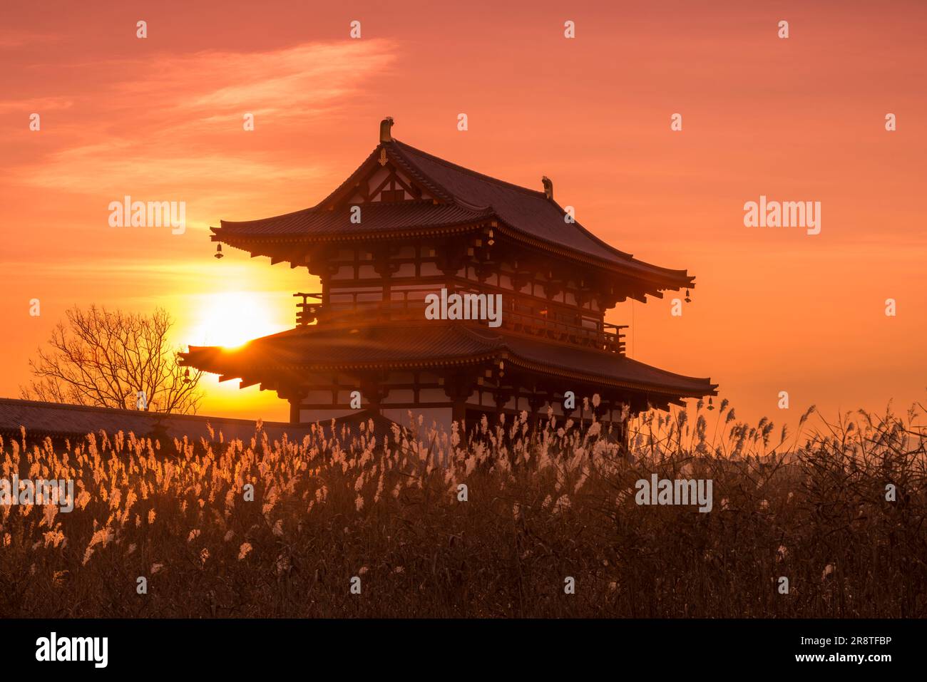 The Suzaku Gate of the Heijo Palace remains stained by the setting sun Stock Photo