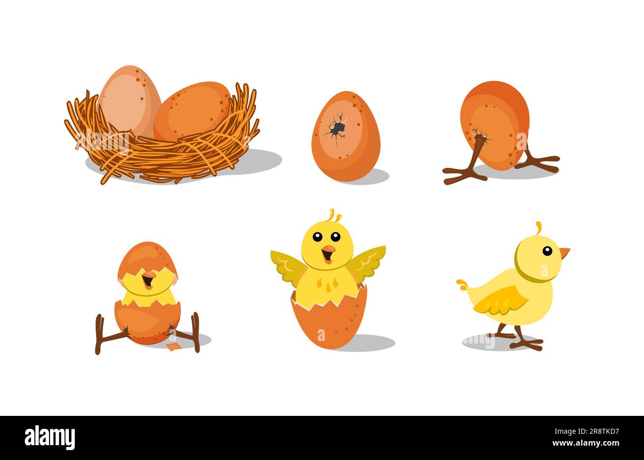 Premium Vector  Cute chick hatched from an egg and its chicken