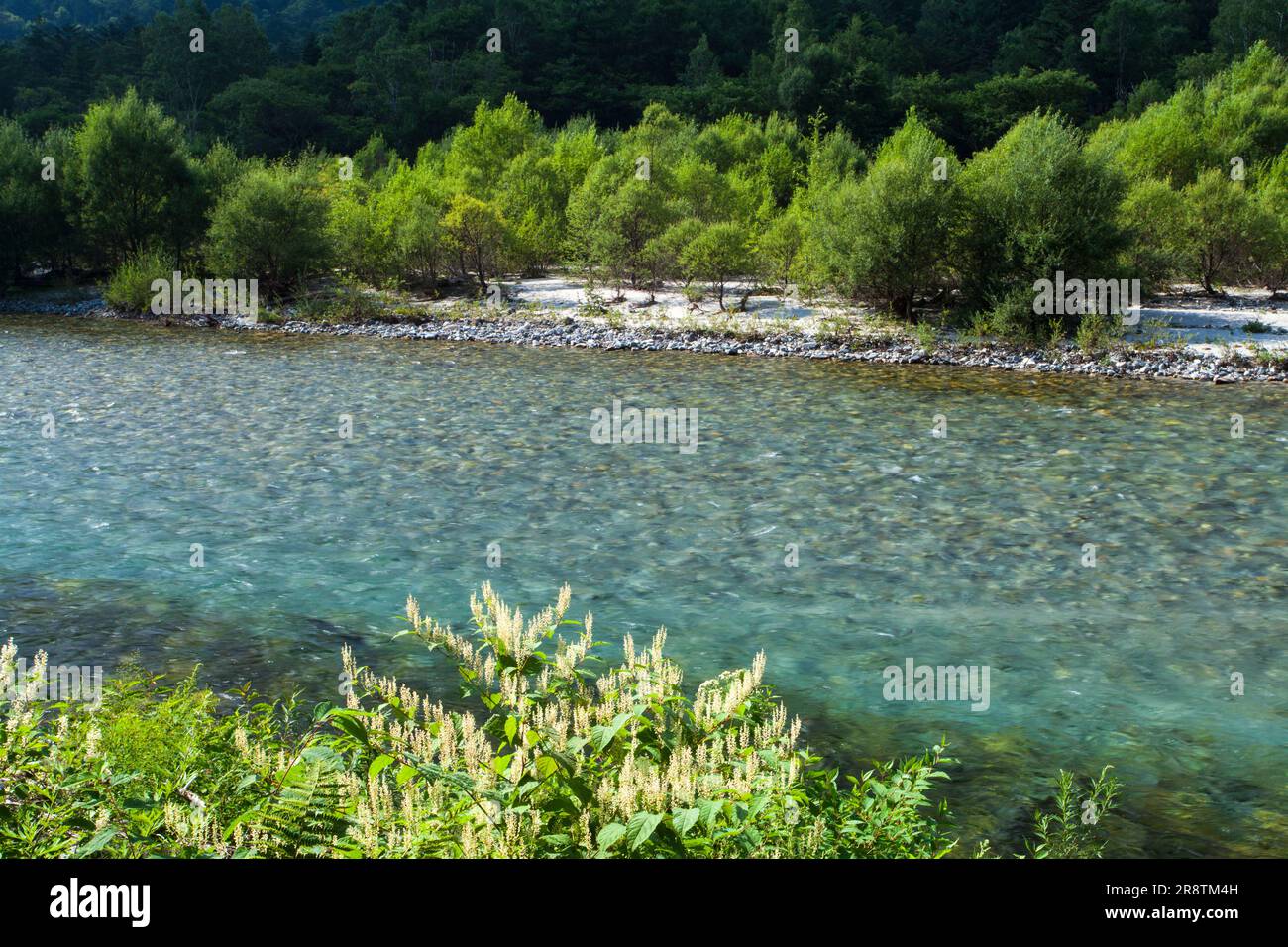 Azusa River, Kamik?chi Stock Photo