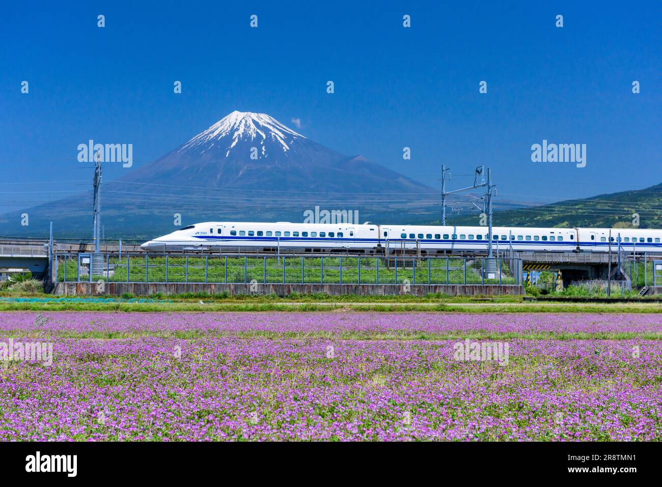 Shinkansen and Mt. Fuji Stock Photo