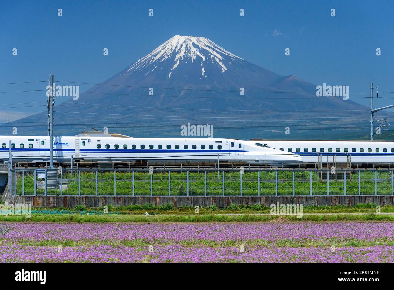 Shinkansen and Mt. Fuji Stock Photo