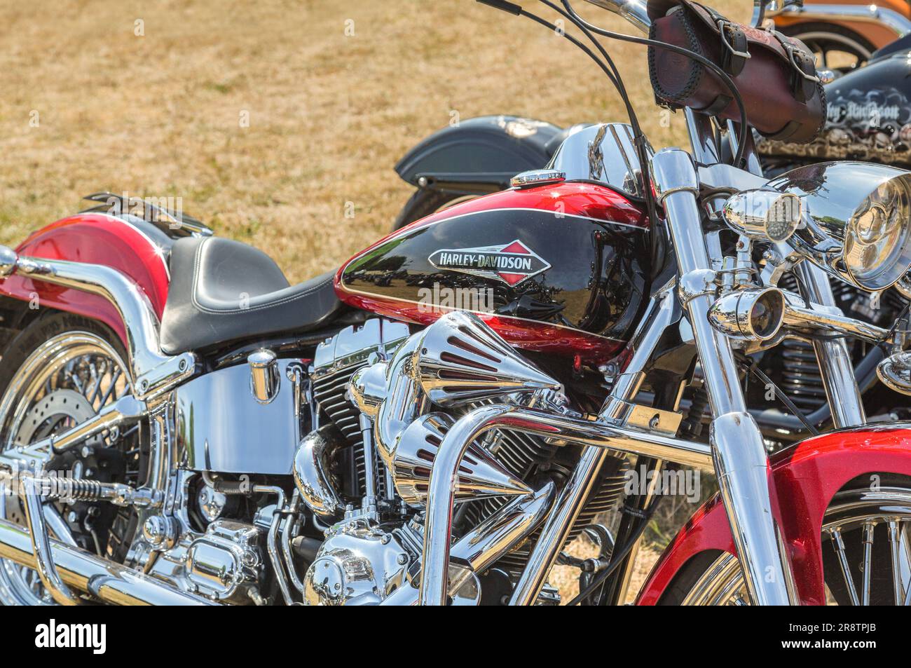 The chromed engine of a parked Harley Davidson shines in the sun at a ...