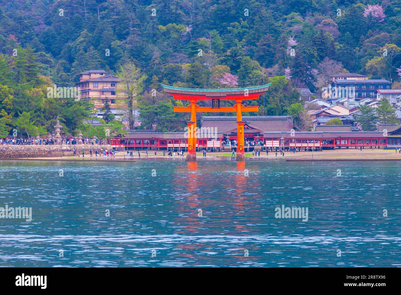 Otorii gate of Itsukushima Shrine Stock Photo - Alamy