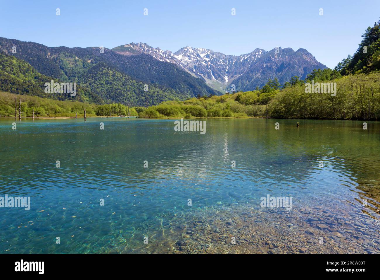 Taisho Pond In Fresh Green Stock Photo Alamy taisho-pond-in-fresh-green-stock-photo-alamy