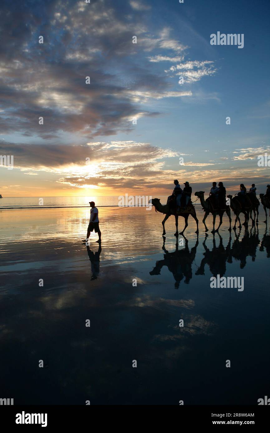 Camel procession in Broome Cable Beach, Western Australia Stock Photo