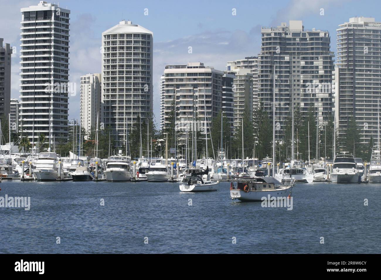 Gold Coast Beach and Building Forest Stock Photo