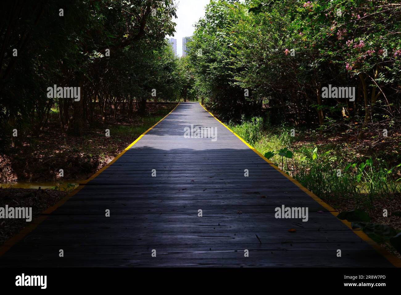 Wooden Walkway In A Park Stock Photo - Alamy