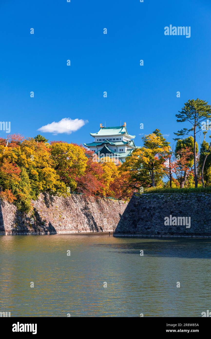 Louis Vuitton shop in Sakae, Nagoya, Japan Stock Photo - Alamy