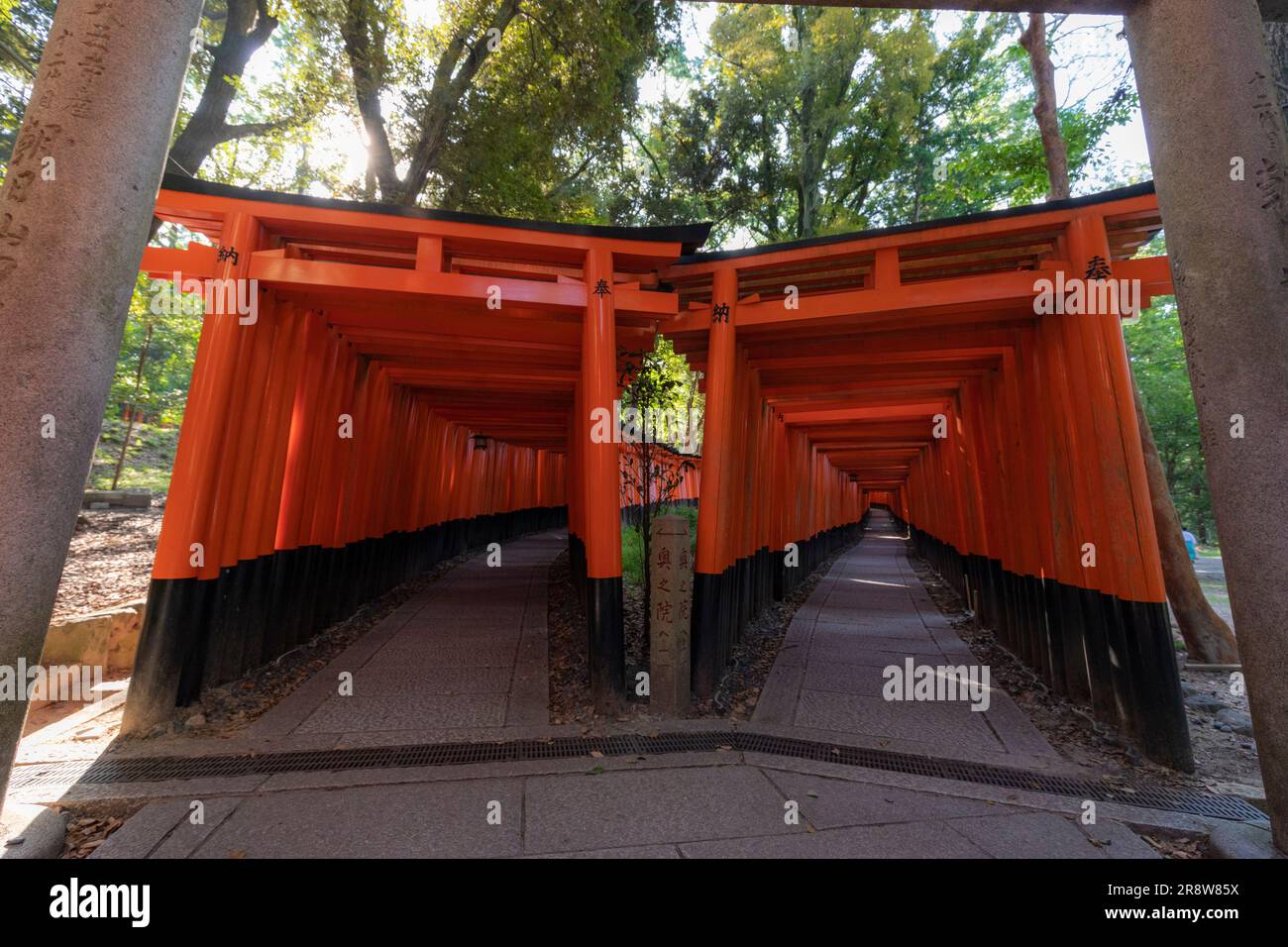 Senbon-torii gate of Fushimi Inari-taisha Shrine Stock Photo - Alamy