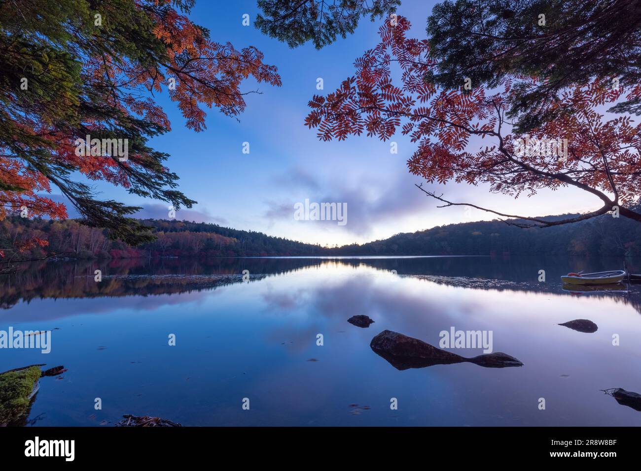 Dawn glow pond hi-res stock photography and images - Alamy