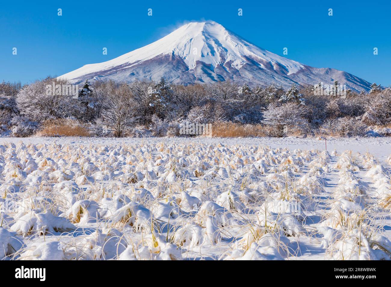 New snow hi-res stock photography and images - Alamy