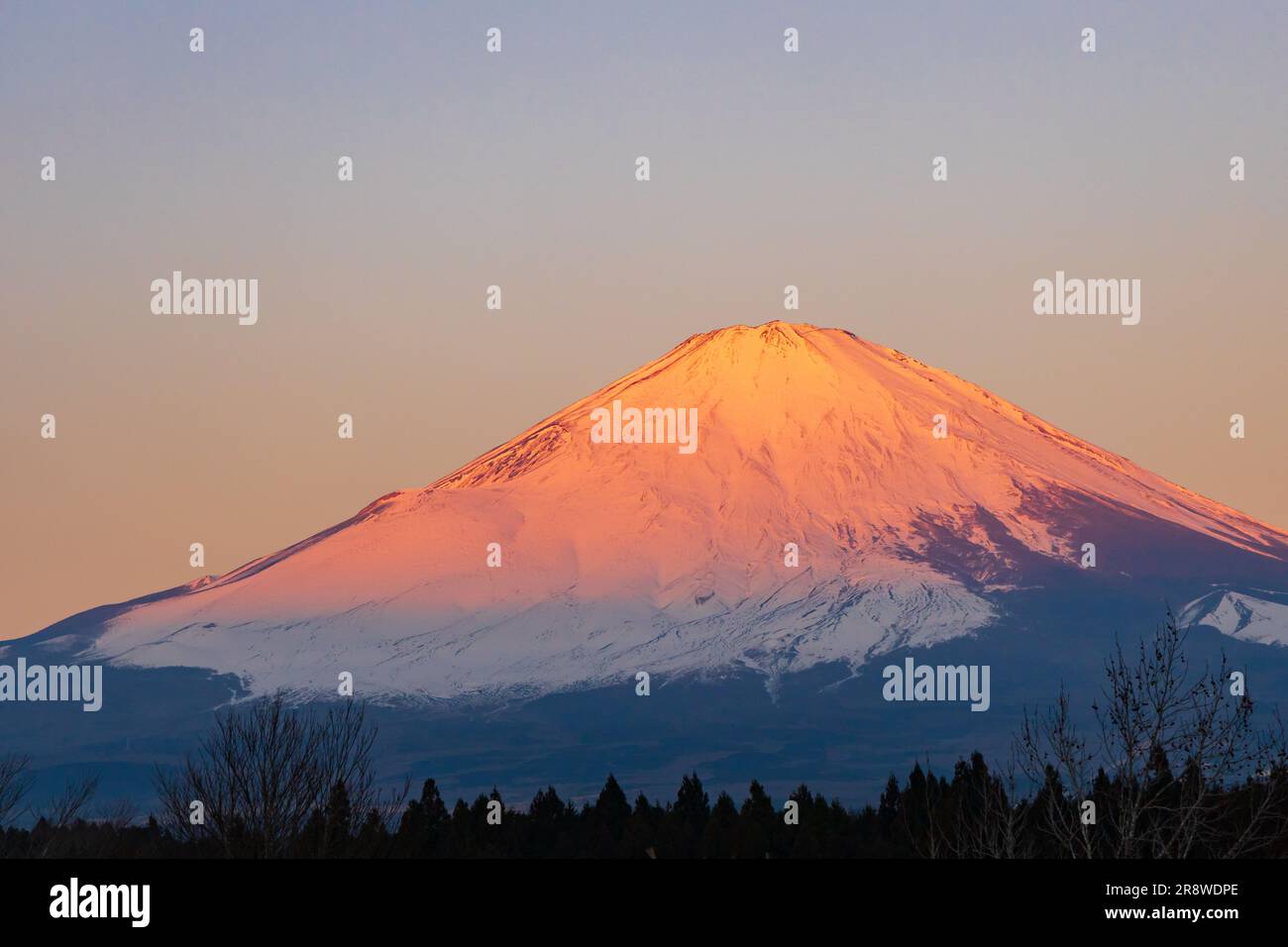 Mt Fuji Sunrise Stock Photo Alamy