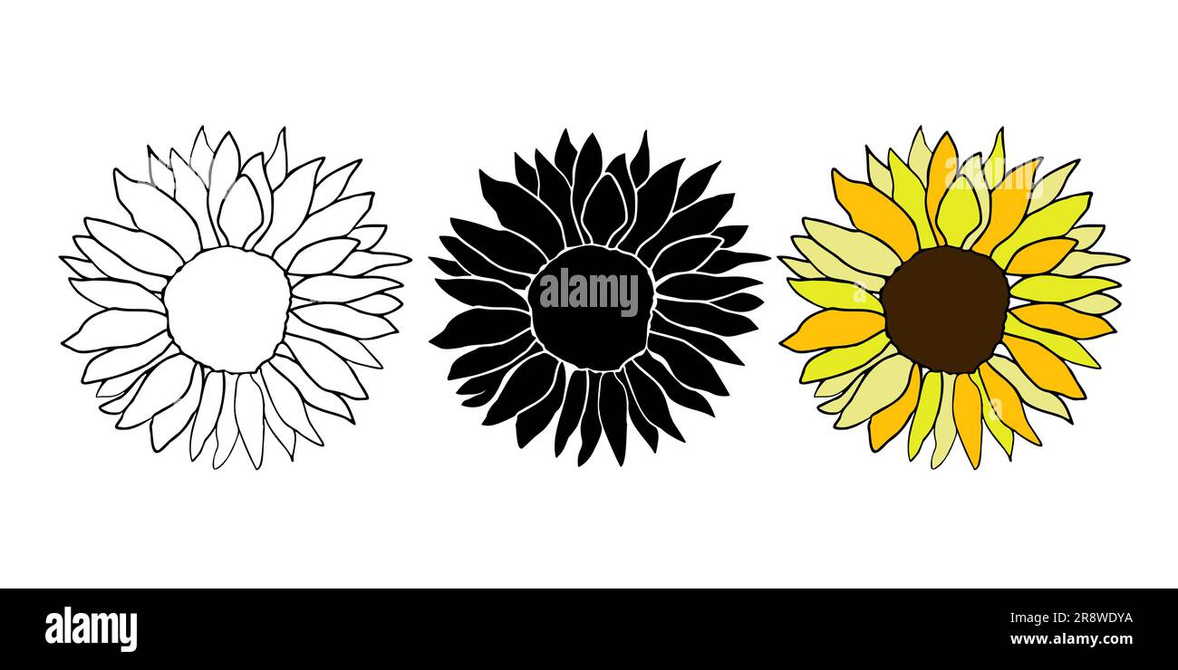 Cute sunflower decor for surface decoration. Hand drawn floral vector elements Stock Vector