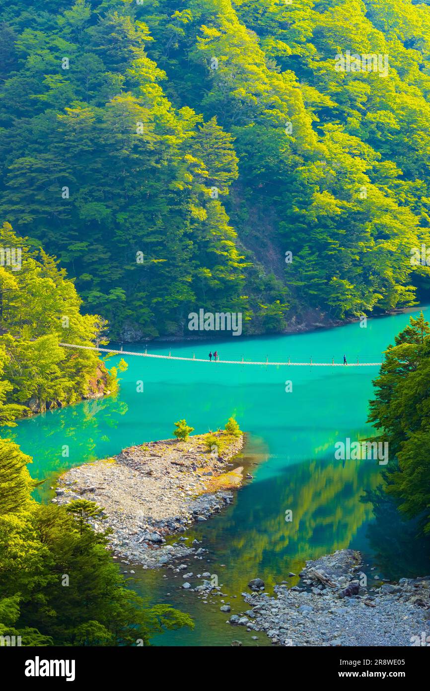 Dream Suspension Bridge in Sunmatakyo Stock Photo Alamy
