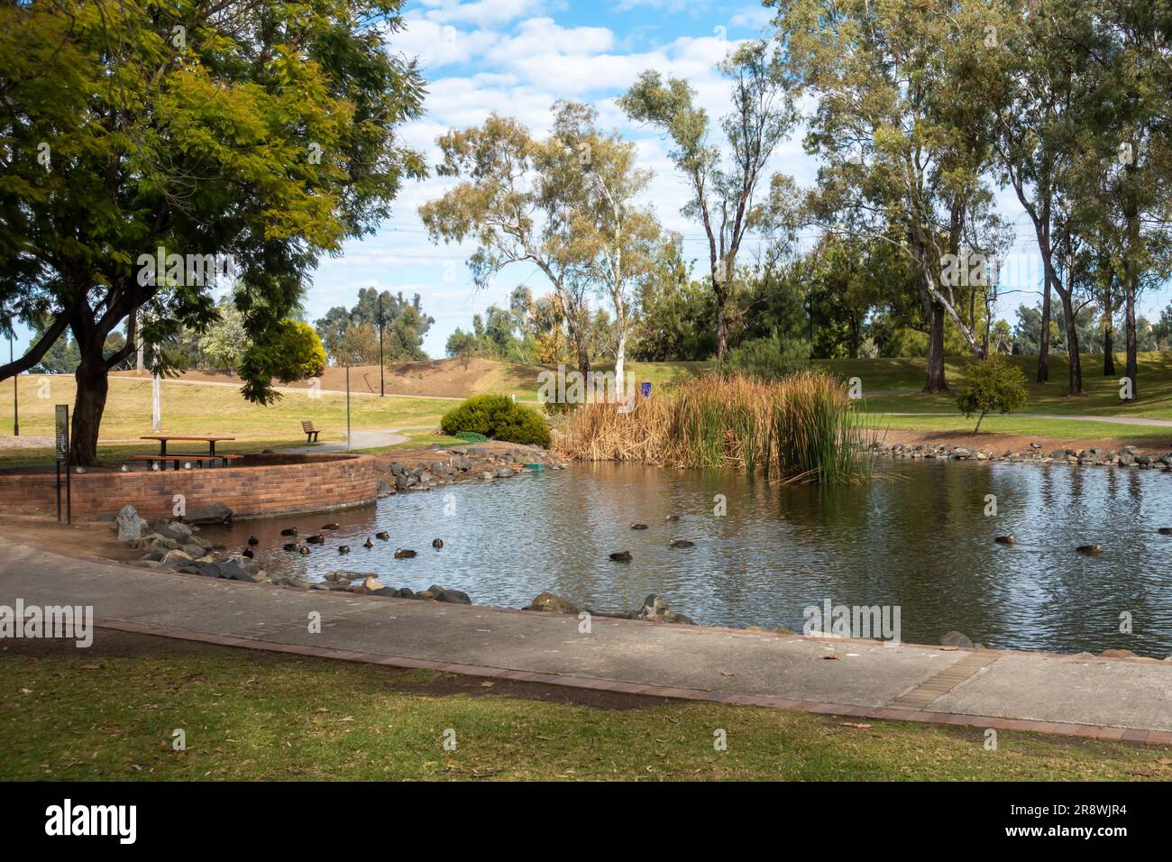 Tmworth Australia Bicentennial Park Duck Pond in Winter Stock Photo