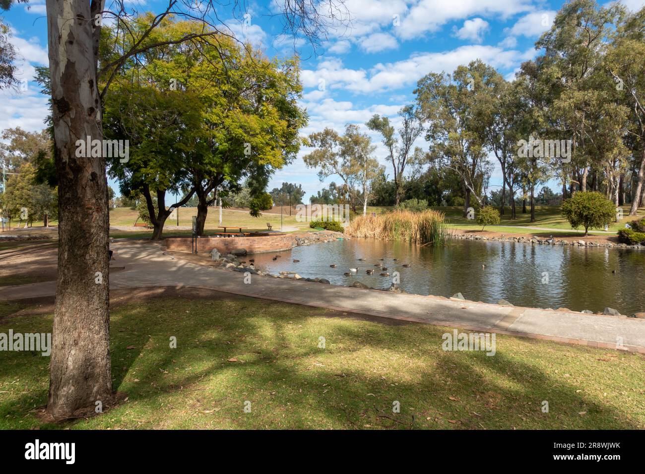 Duck Pond at Tamworth Australia Bicentennial Park in winter. Stock Photo