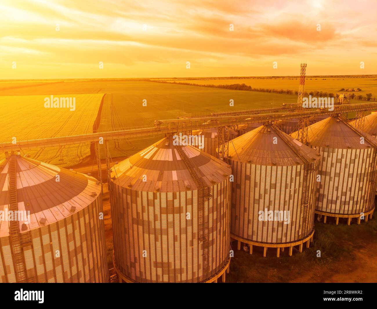 Grain silos on a green field background with warm sunset light. Grain