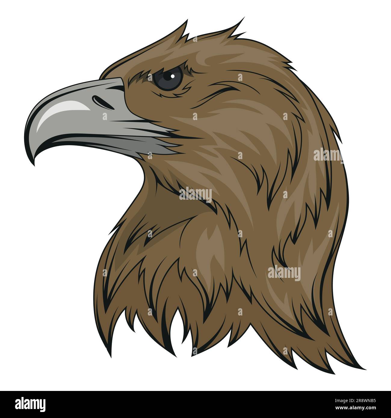 Eagle. Vector illustration of a soaring bald eagle. National symbol of